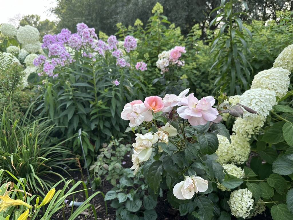 Gallery Bergeson Nursery