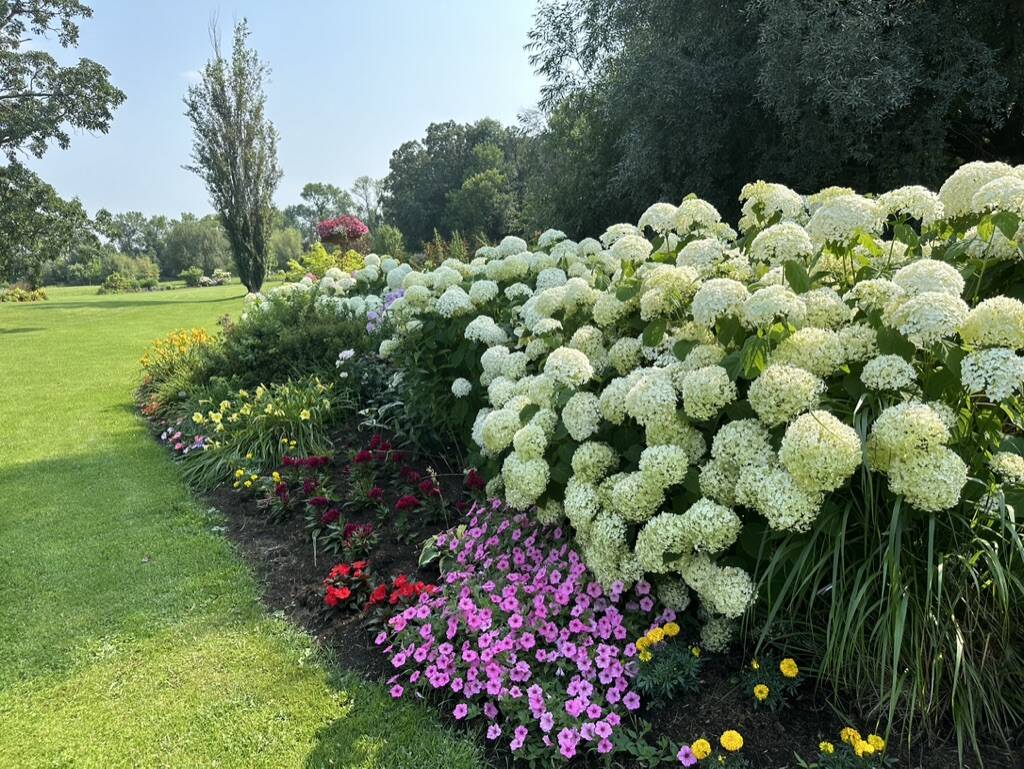 Gallery Bergeson Nursery