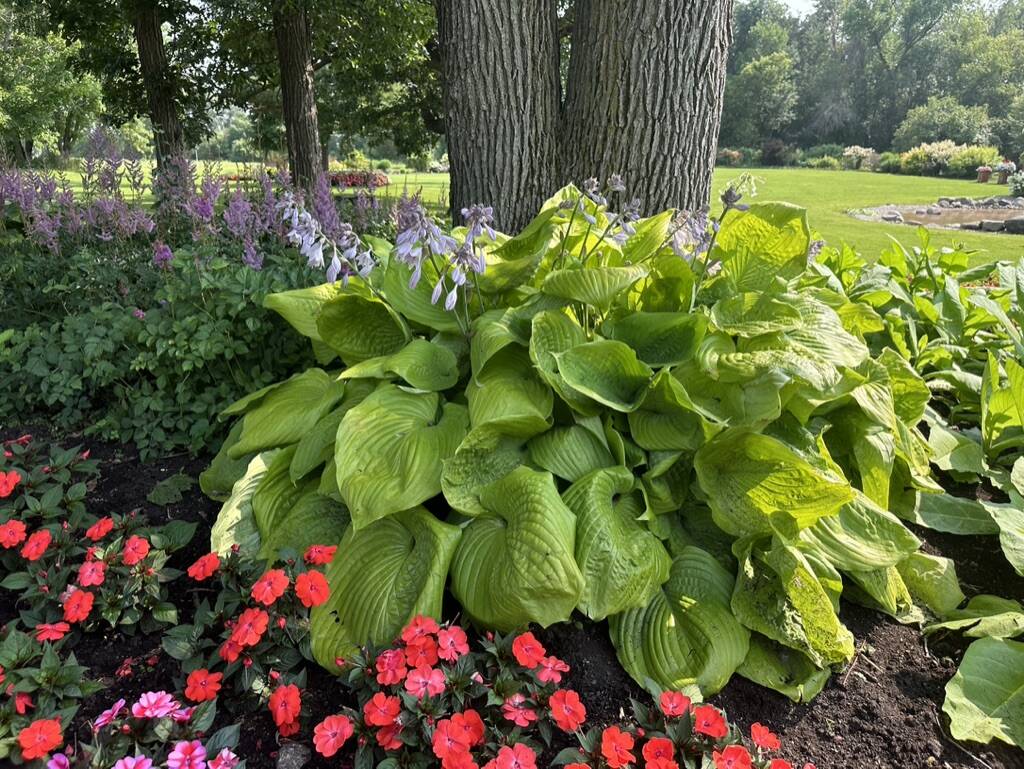 Gallery Bergeson Nursery