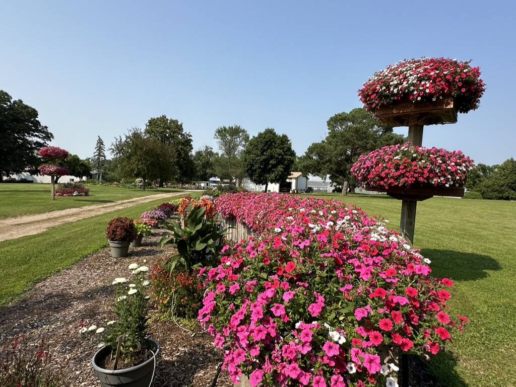 Gallery Bergeson Nursery