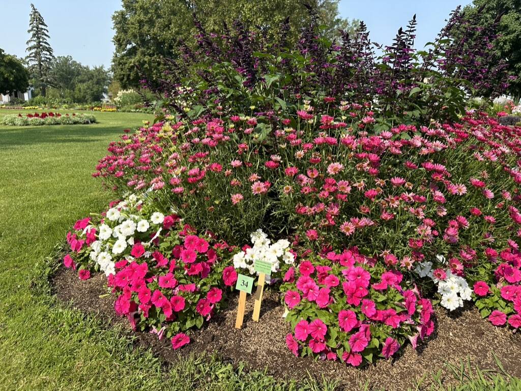 Gallery Bergeson Nursery