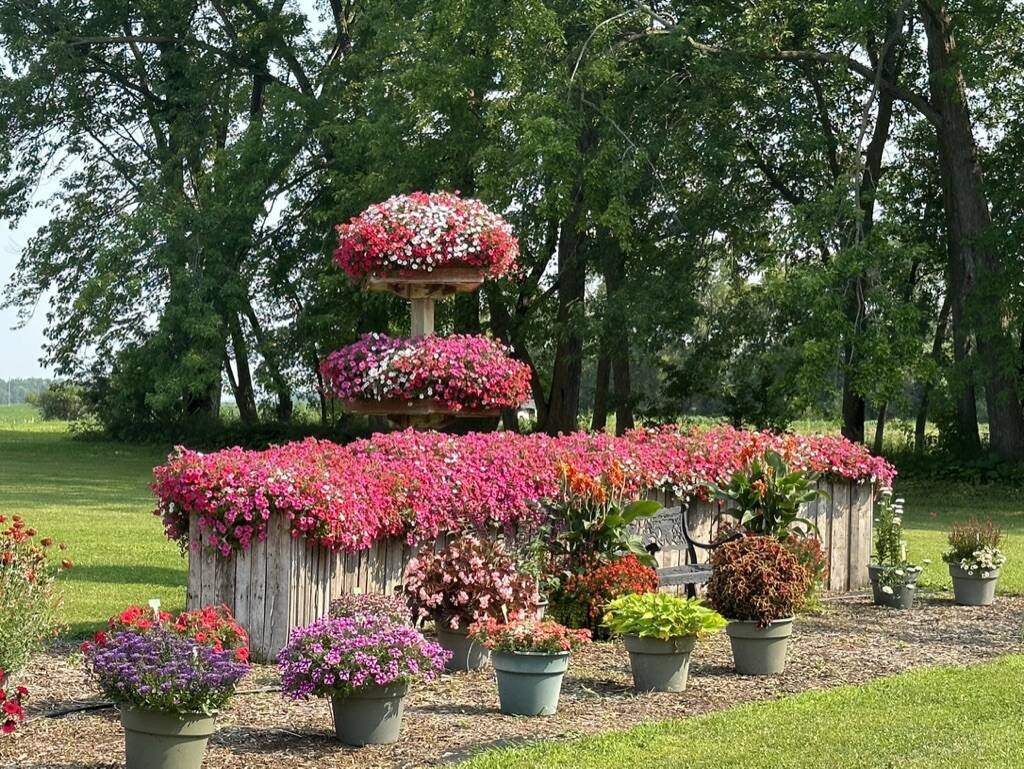 Gallery Bergeson Nursery