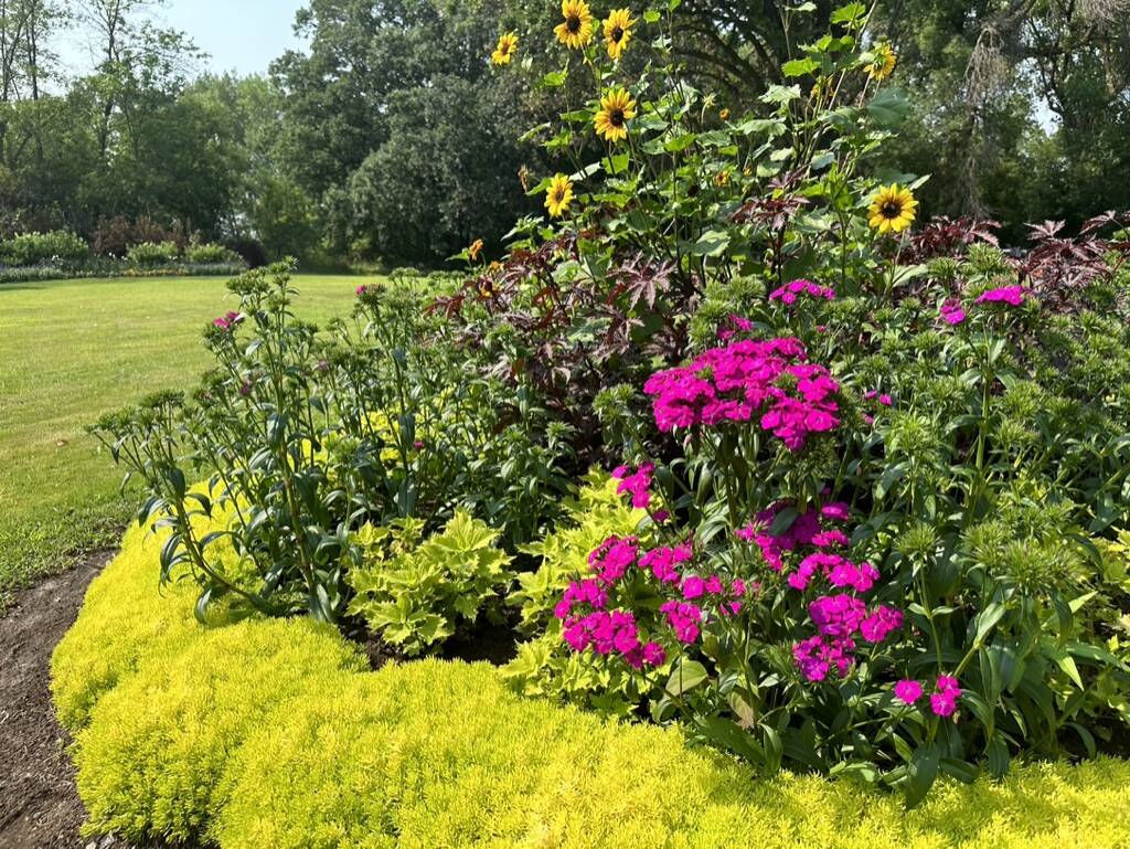 Gallery Bergeson Nursery