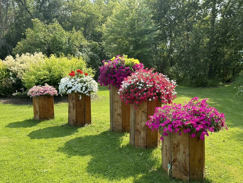 Gallery Bergeson Nursery