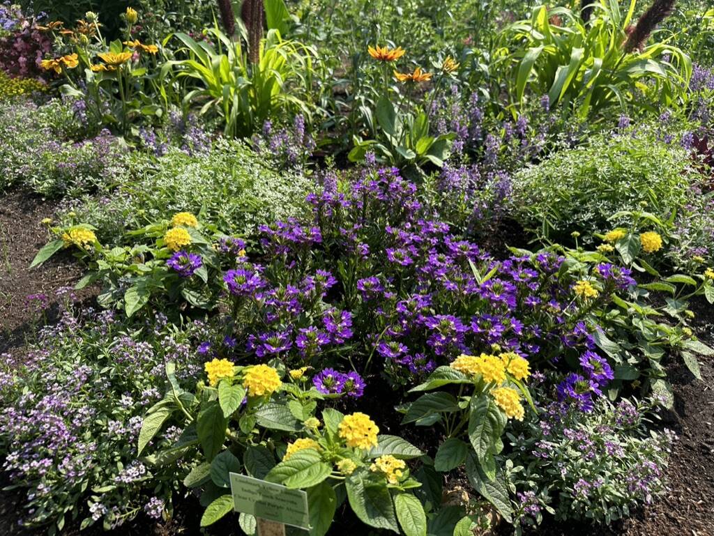 Gallery Bergeson Nursery