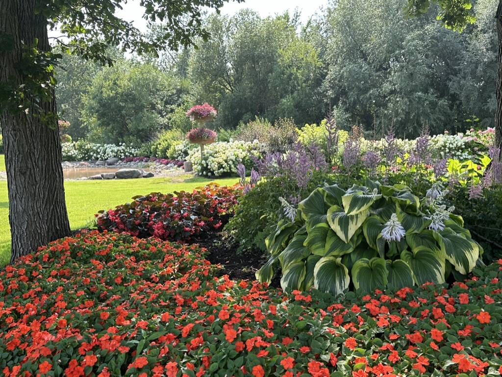 Gallery Bergeson Nursery