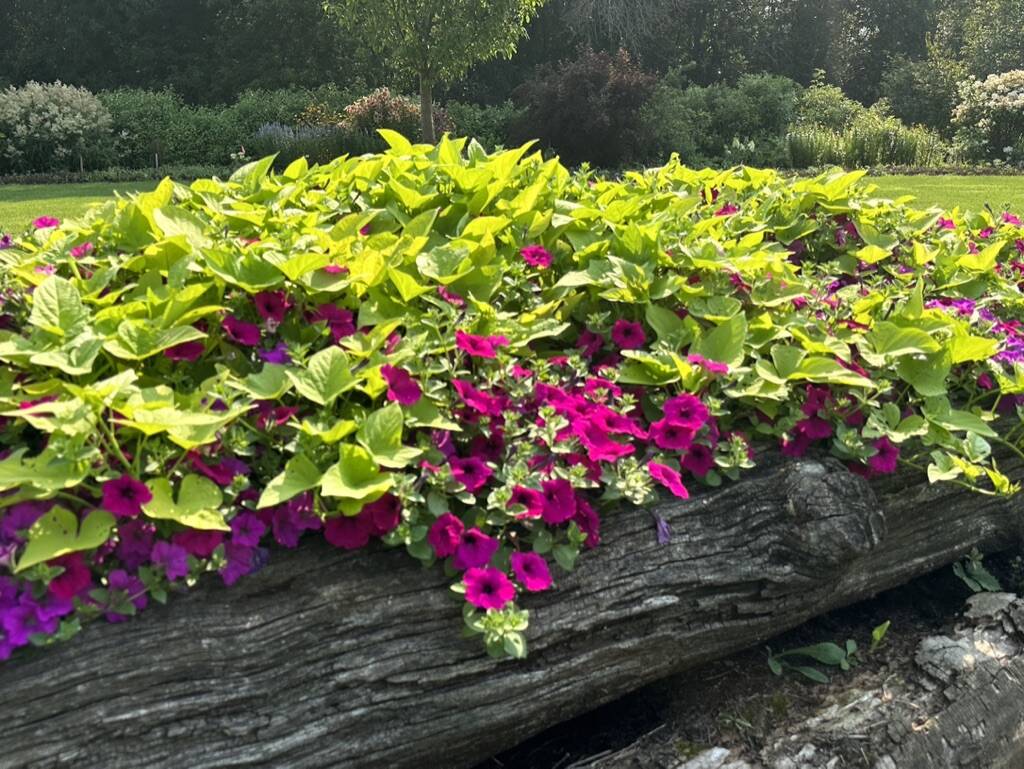 Gallery Bergeson Nursery