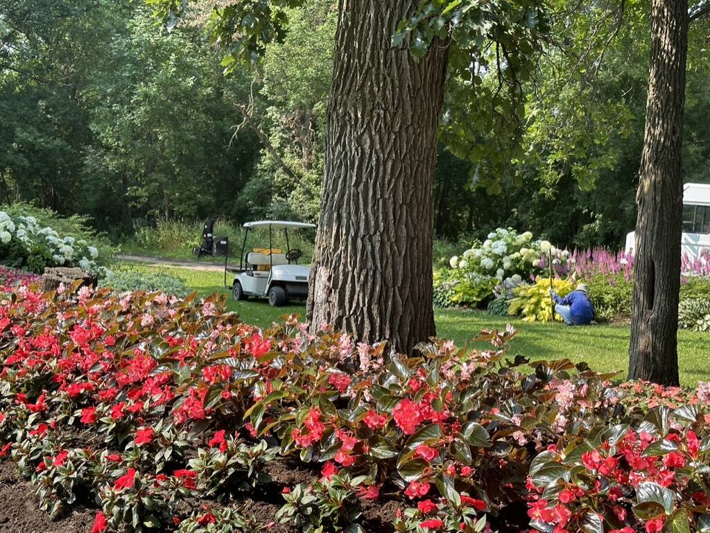 Gallery Bergeson Nursery