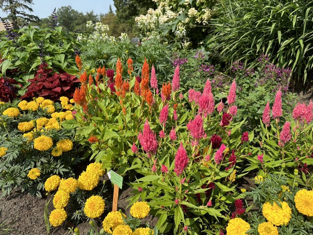 Gallery Bergeson Nursery