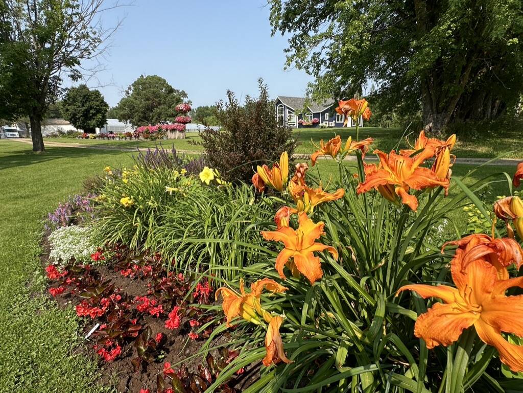 Gallery Bergeson Nursery