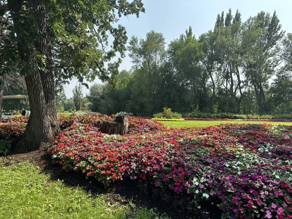 Gallery Bergeson Nursery