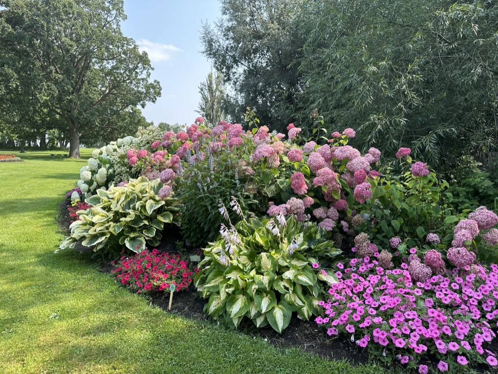 Gallery Bergeson Nursery