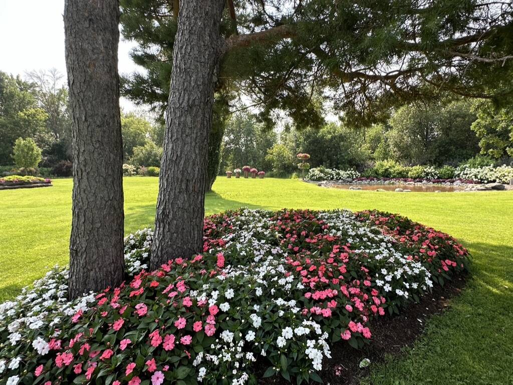 Gallery Bergeson Nursery